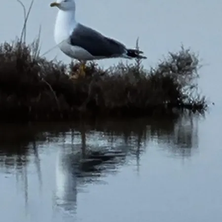 Les Hauts D'azur Appartamento *