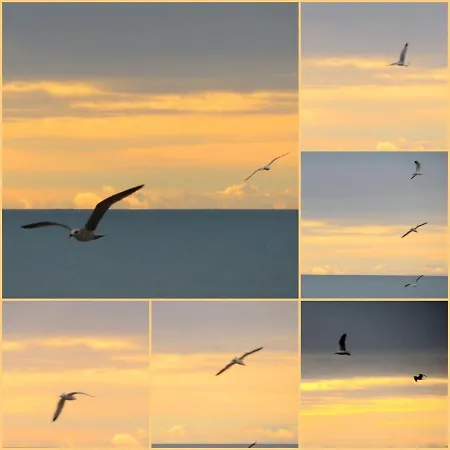 Les Hauts D'azur Apartman