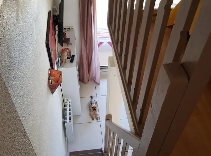 Les Hauts D'azur 아파트