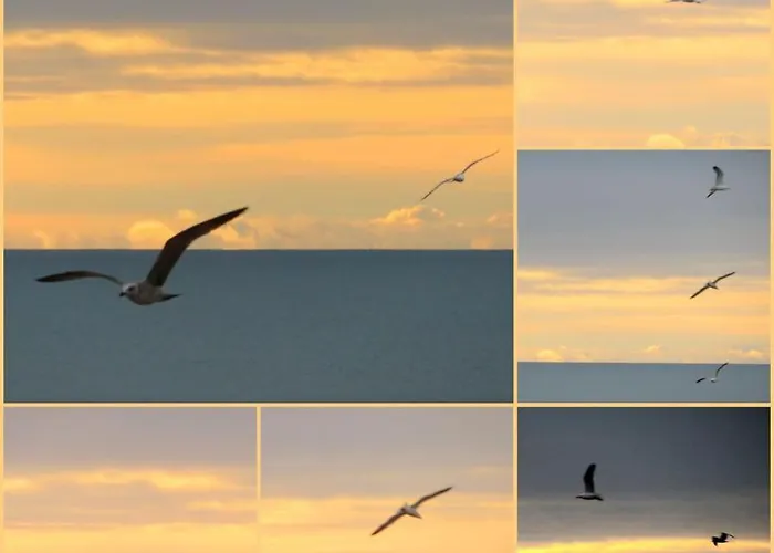 Les Hauts D'azur アパート