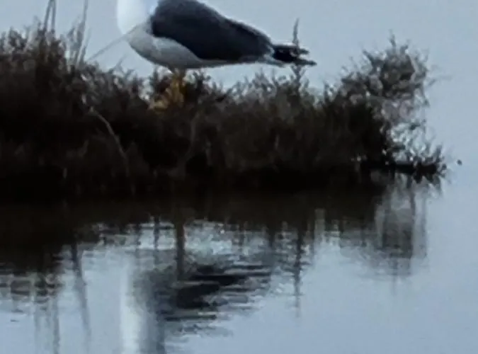 Les Hauts D'azur アパート *